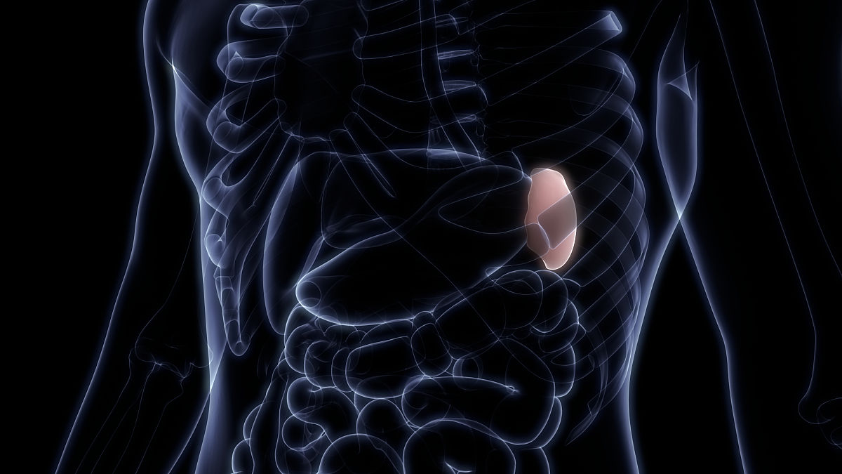 中医的脾与西医的脾脏区别是什么？