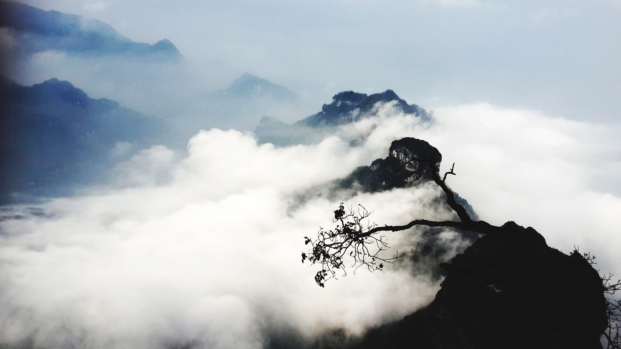 七律古诗 - 登顶 - 体味山巅之美，感悟人生真谛