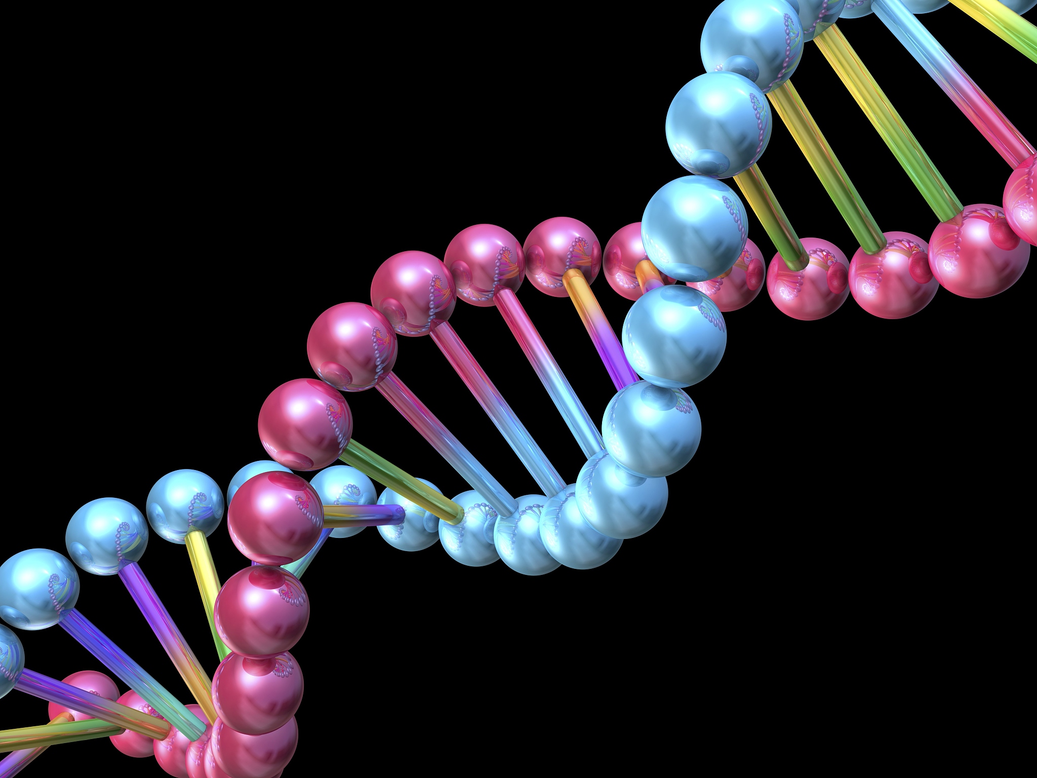 解释一下什么是dna