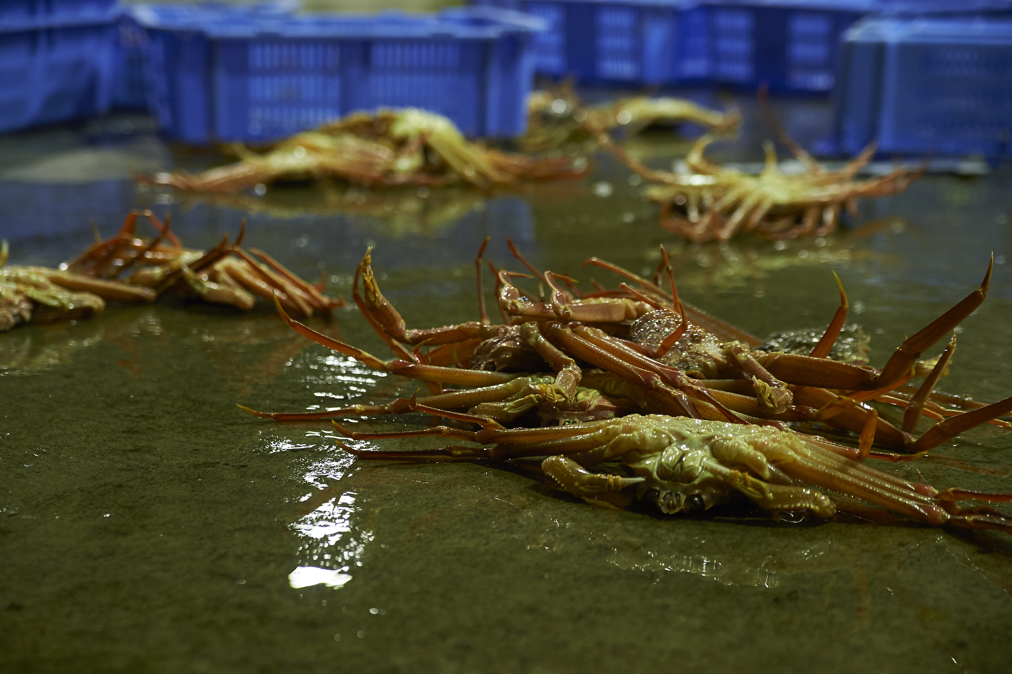 郑州城市职业学院招生办联系电话