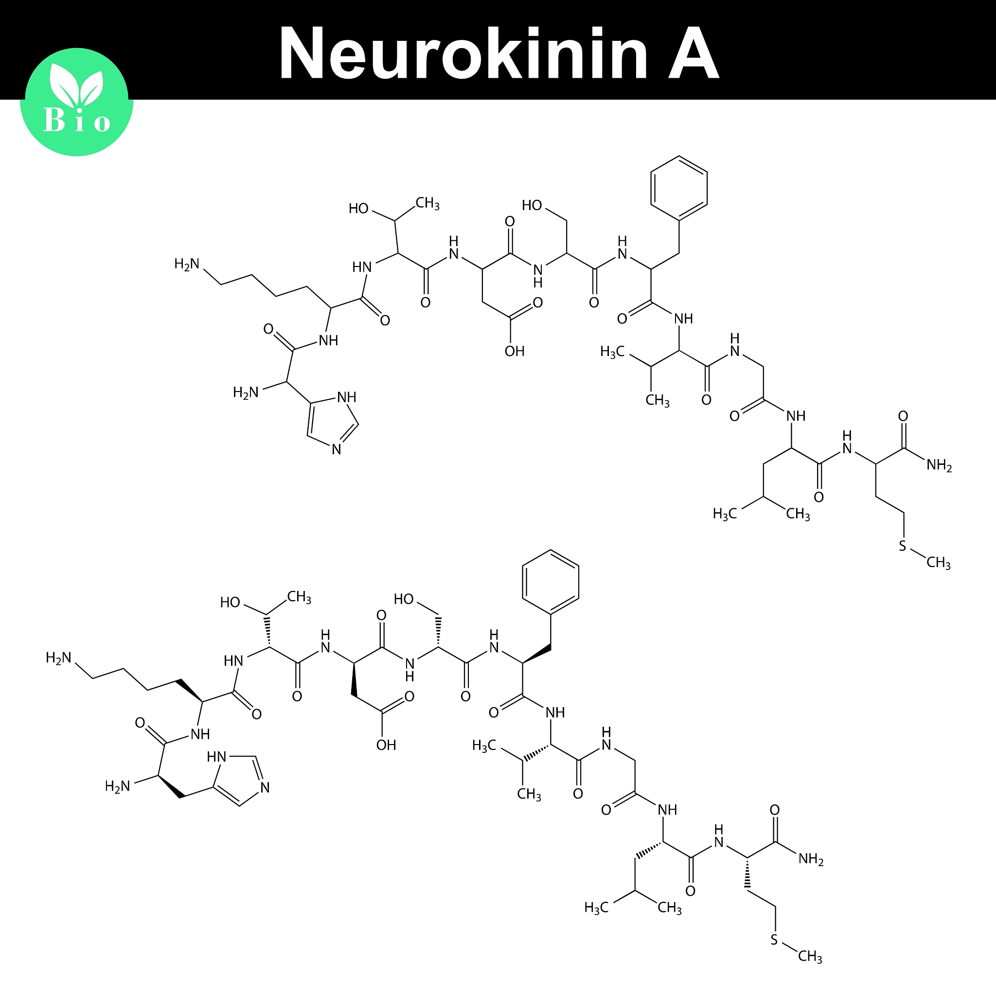 天冬氨酸 (ASP) 氨基酸：作用、来源及注意事项
