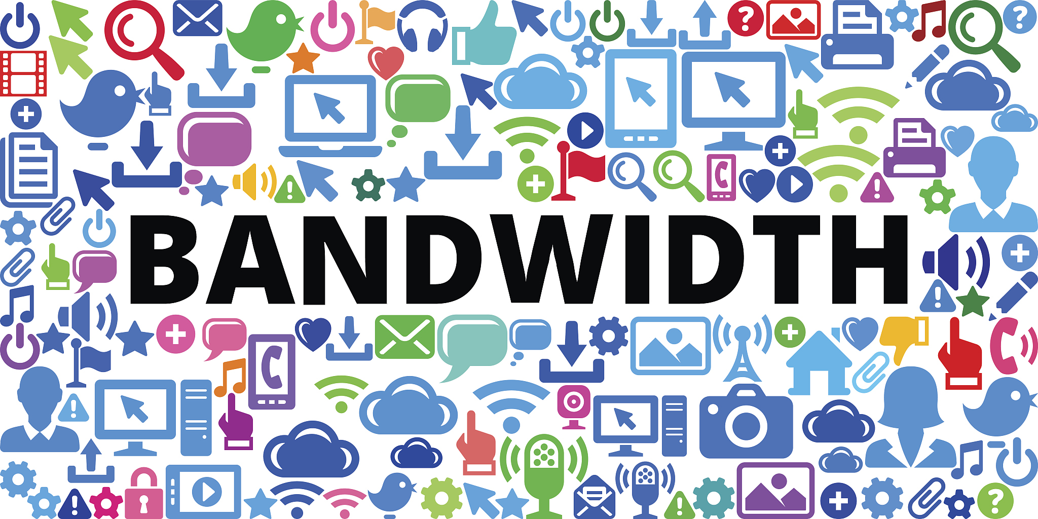 行知实验小学校园网络年度工作计划