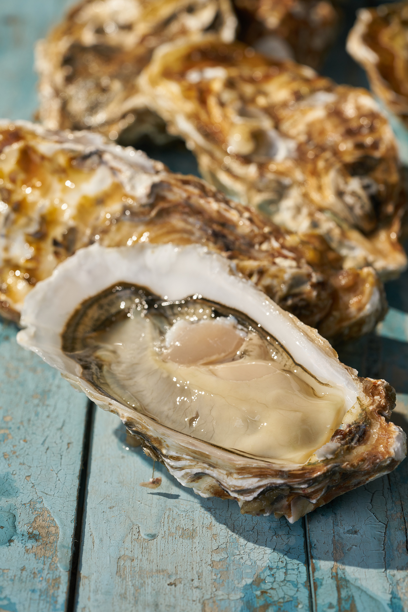 生蚝嘌呤含量多少？痛风患者要注意！