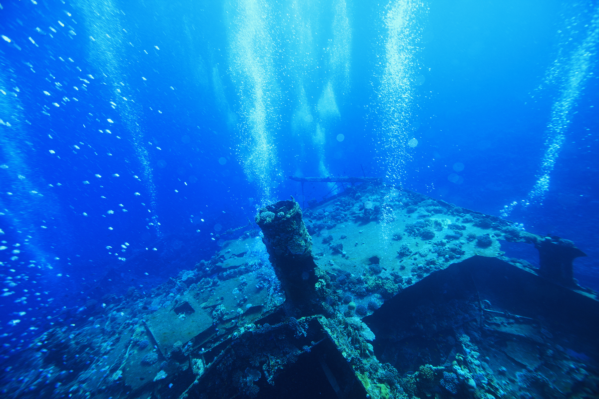 scuba diving  over shipwreck   wreck diving    red sea reef