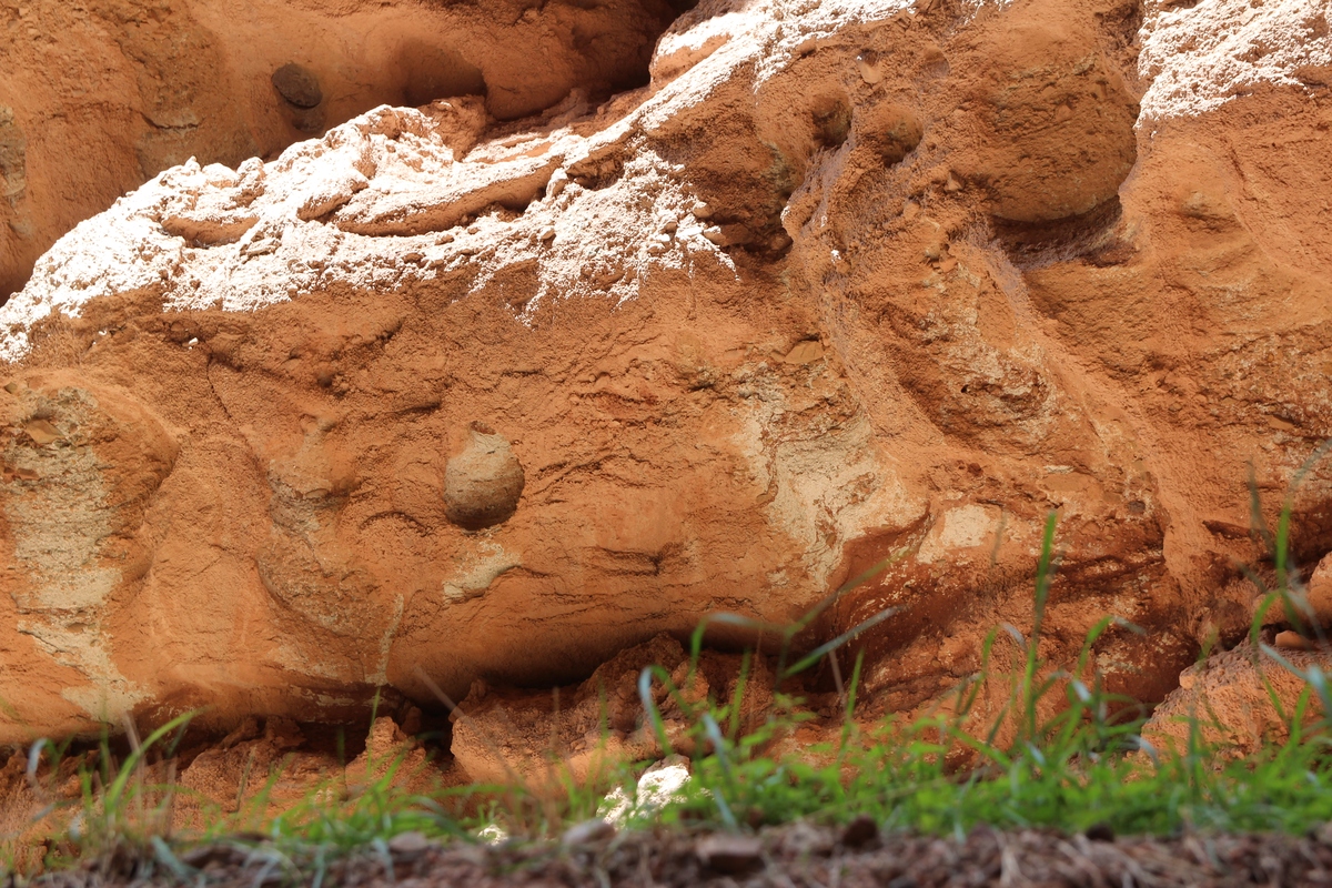 SOIL SCIENCE SOCIETY OF AMERICA JOURNAL期刊的介绍？