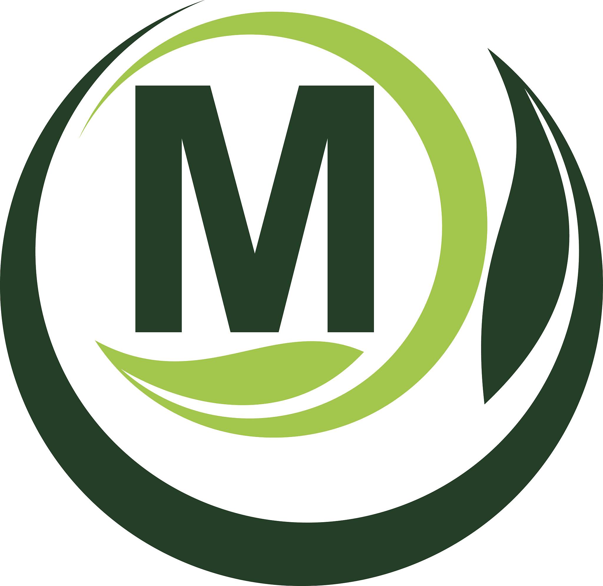 leaf motion initial m