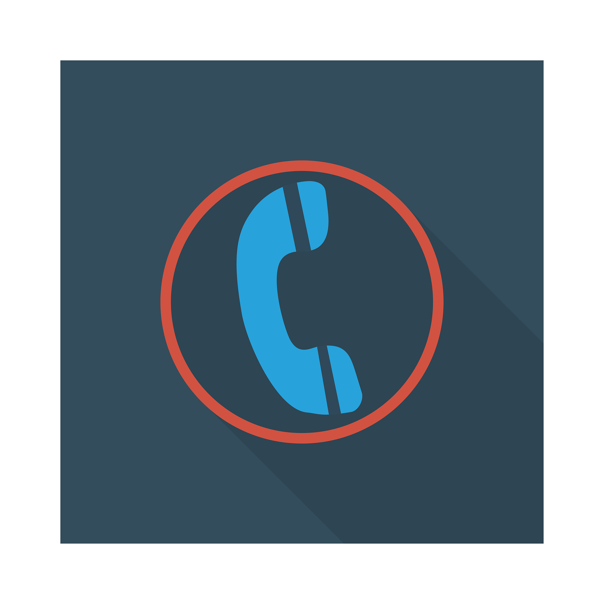 phone