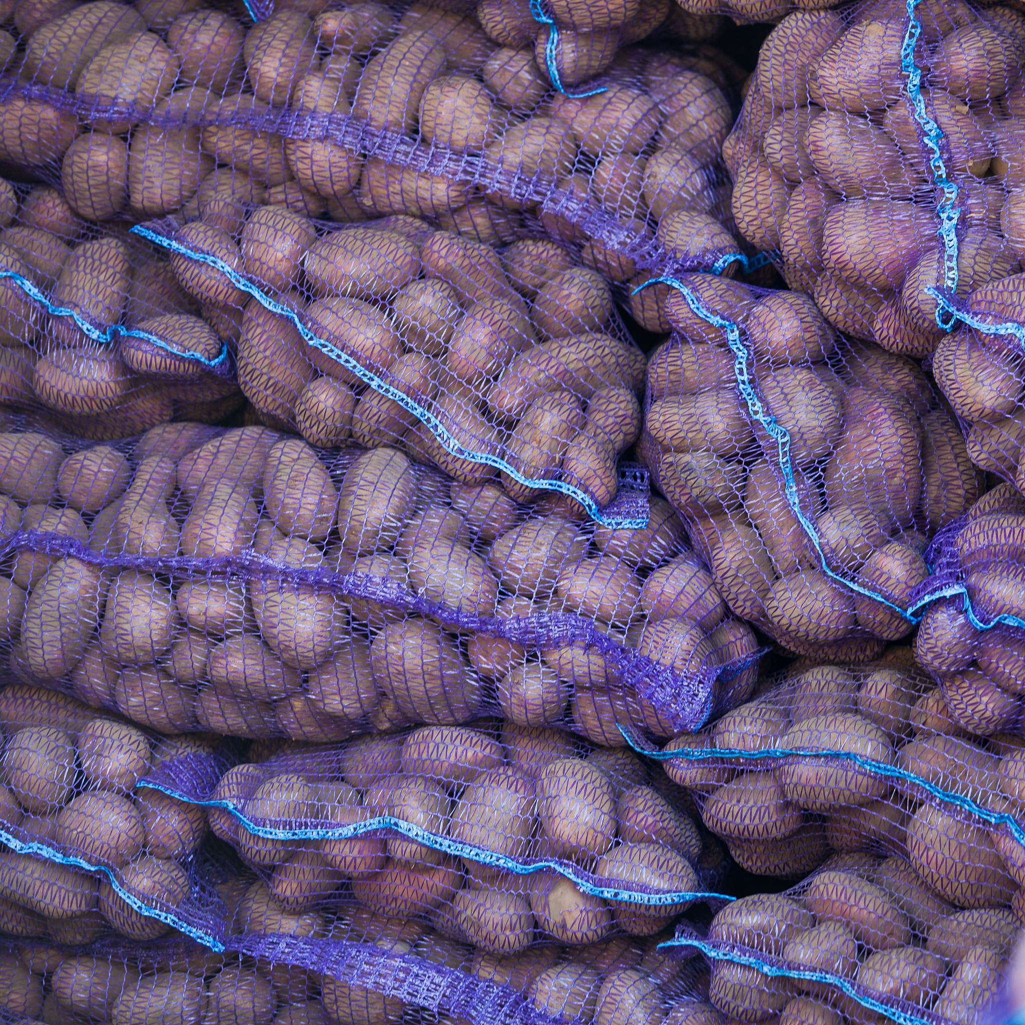 重庆农业学校农产品营销与储运专业：本科和专科，培养市场人才