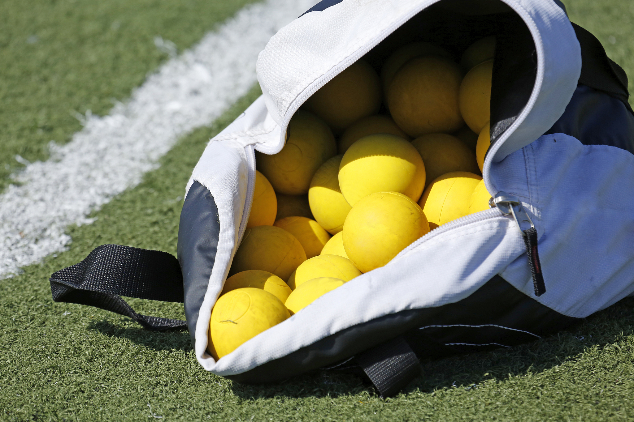 ball bag