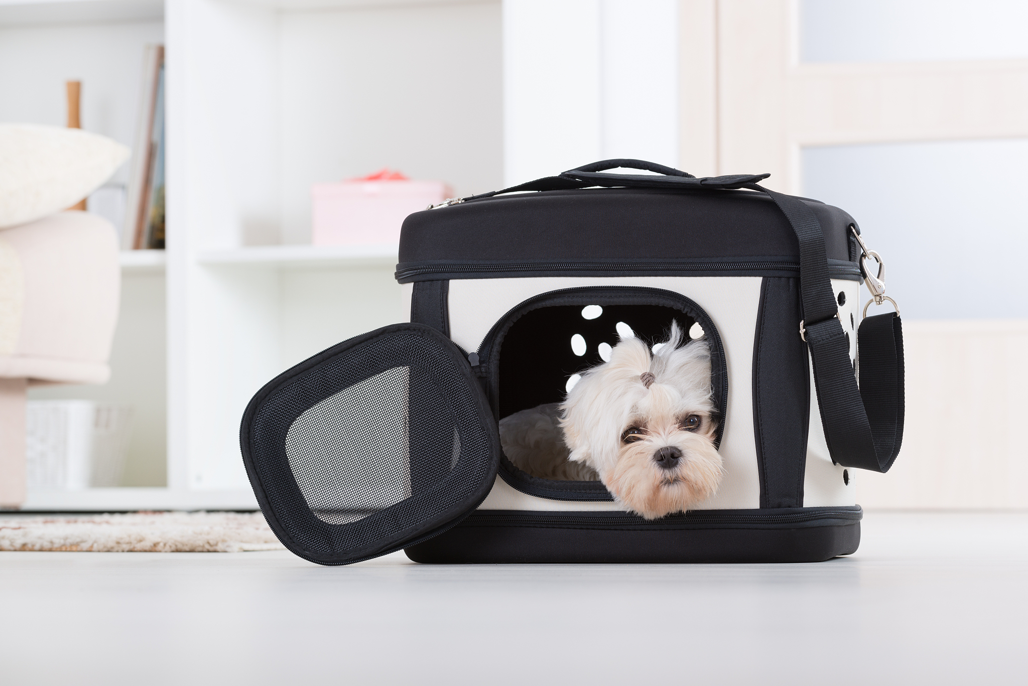 山西交通职业技术学院机动车保险实务专业：就业前景与课程设置