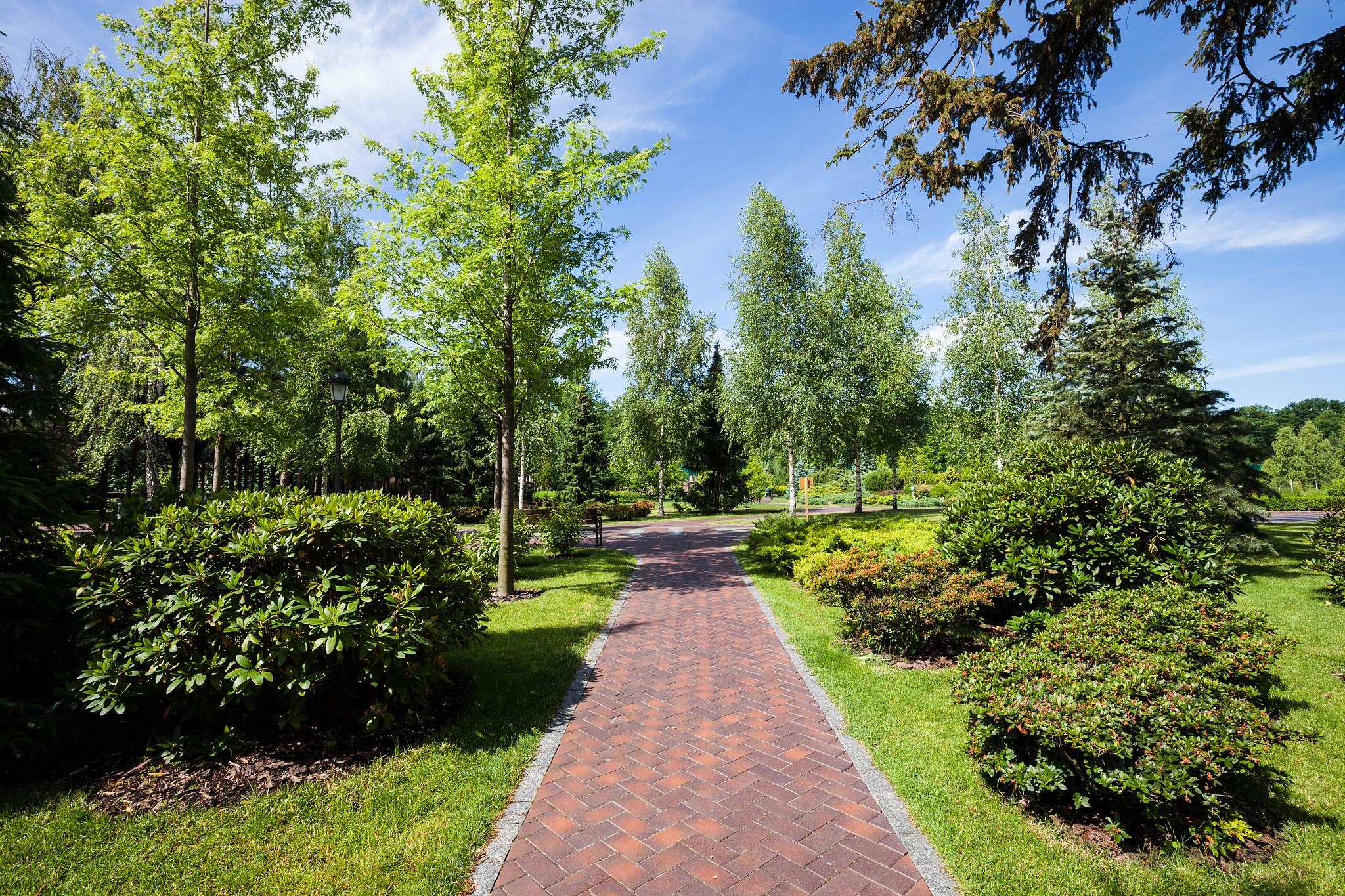 道路景观设计要点: 基于环境心理学的深度解析