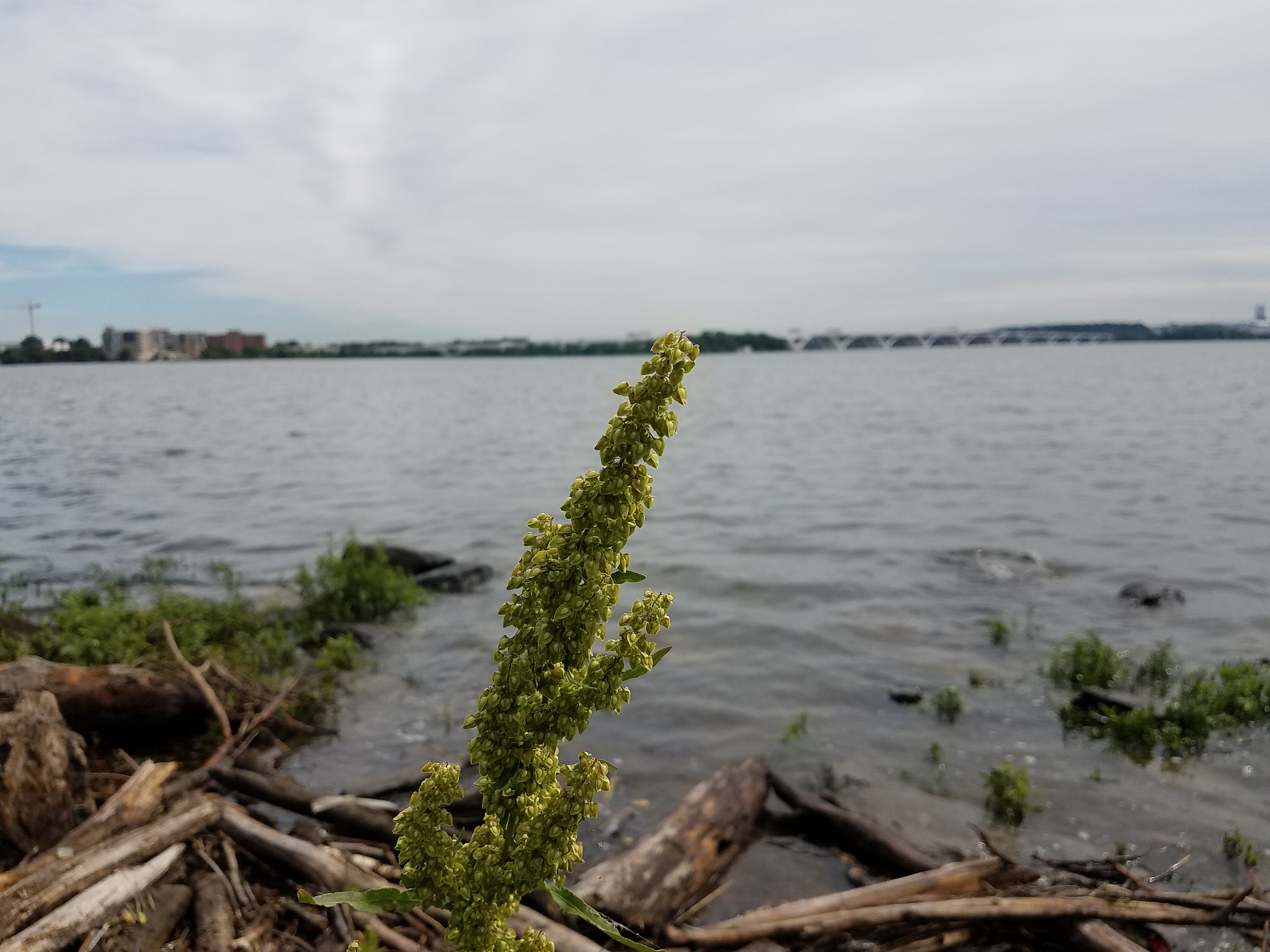 河流观测内容：水文、水质、地貌全方位解析