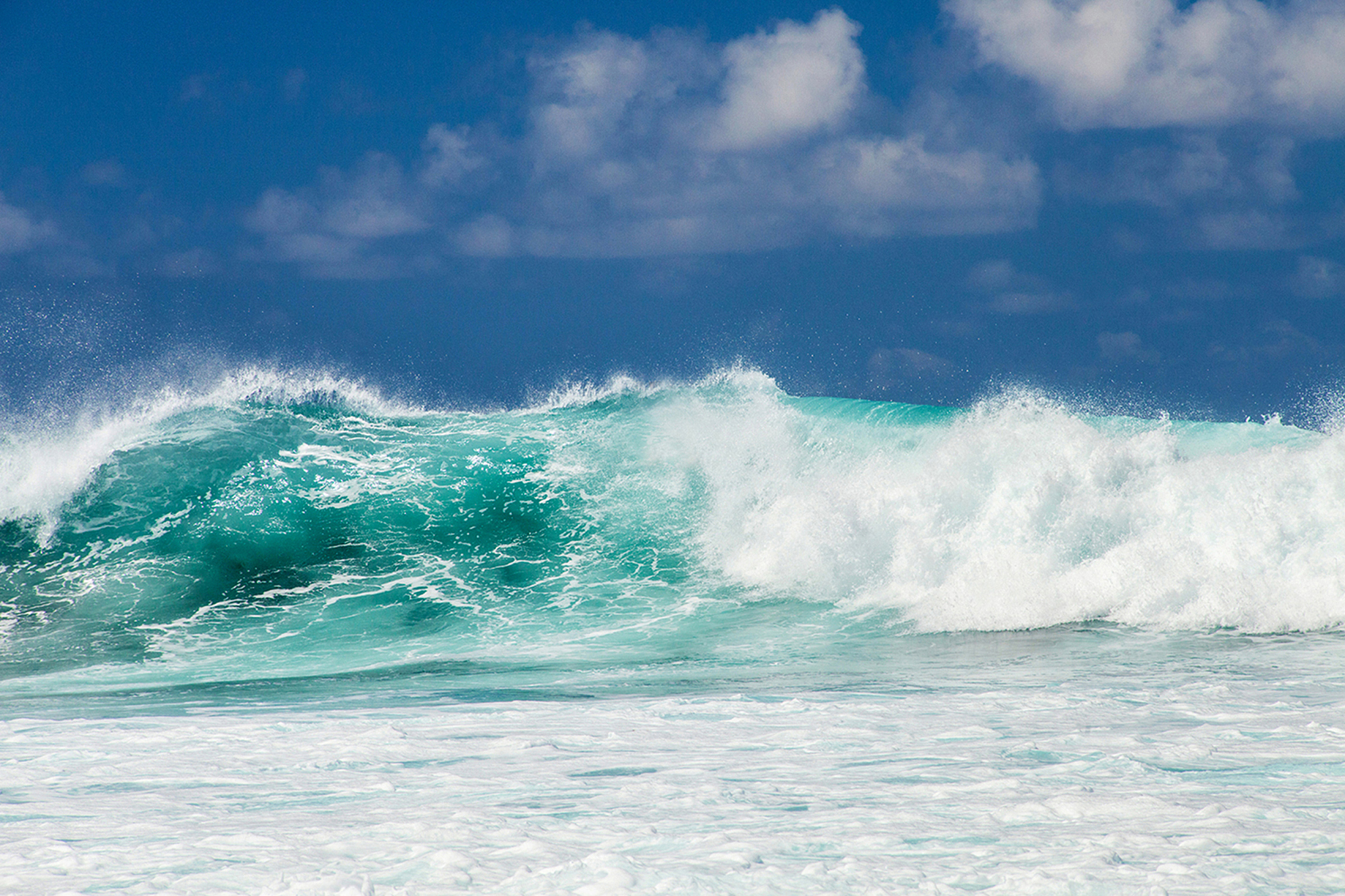 world oceans day