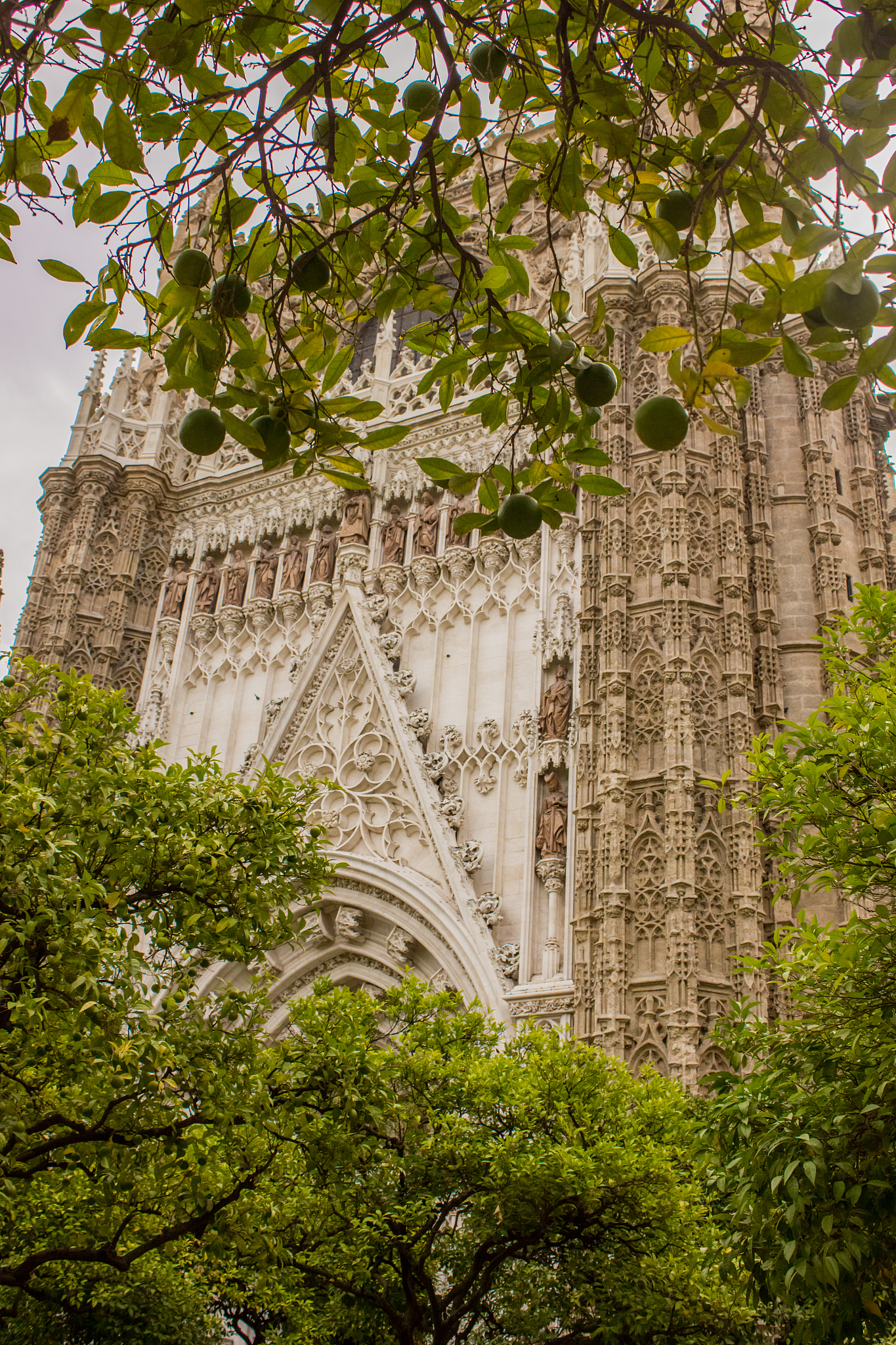 view of the giralda minaret and the cathedral listed as world he