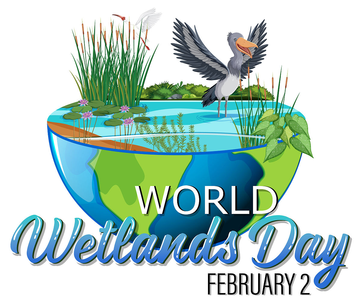 以感受自然魅力为主题编写7人英语7分钟短剧剧本