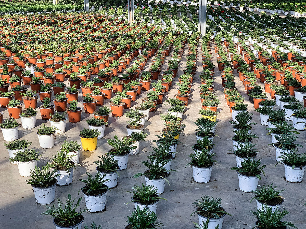 辽宁职业学院园艺技术专业怎么样