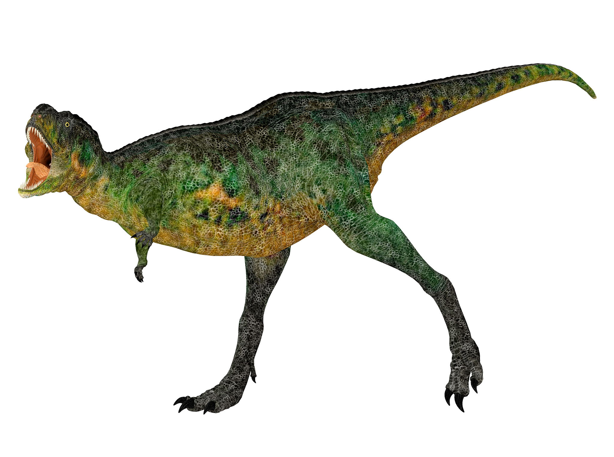 illustration of an aucasaurus