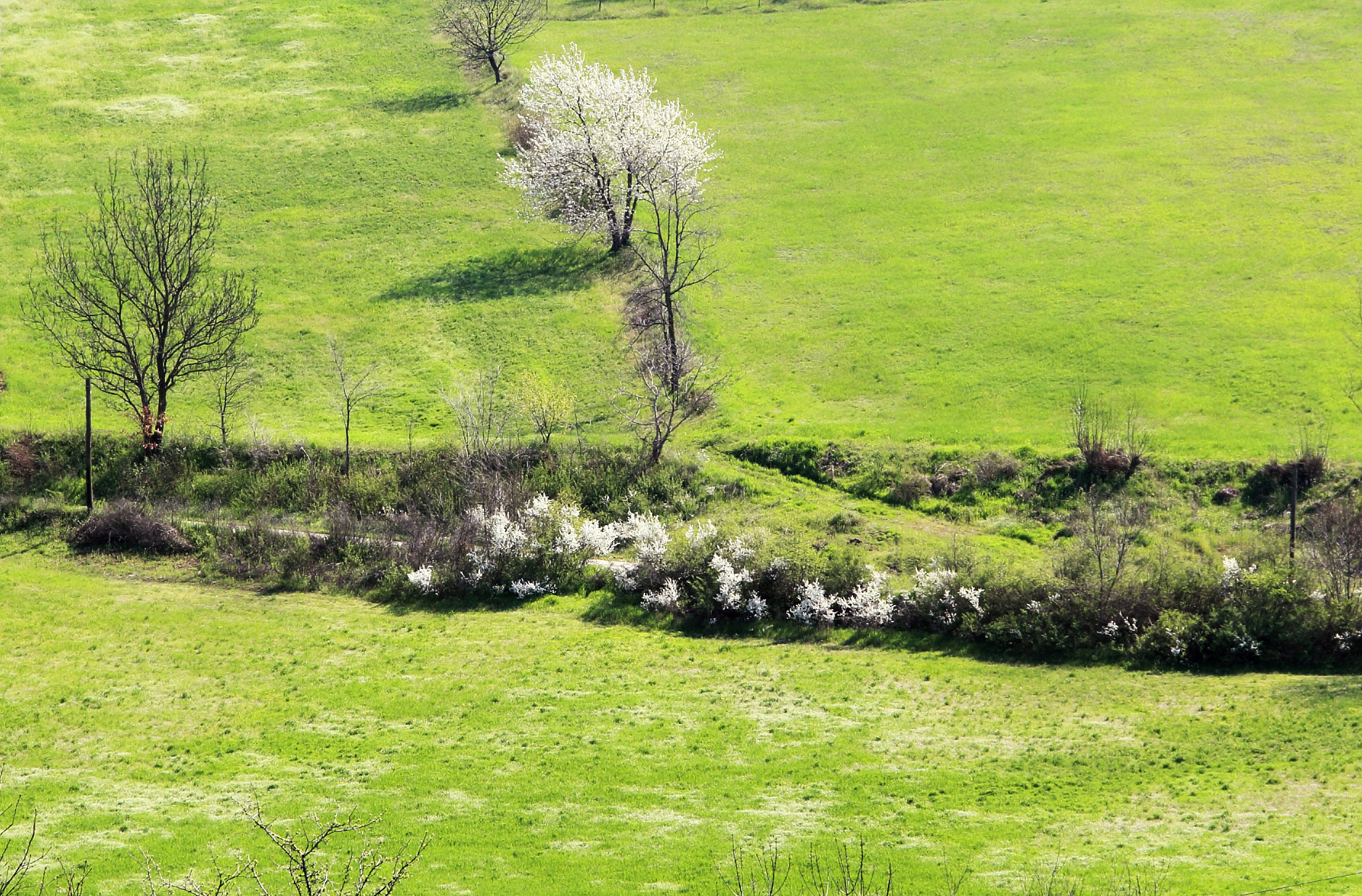 生物多样性草地的影响