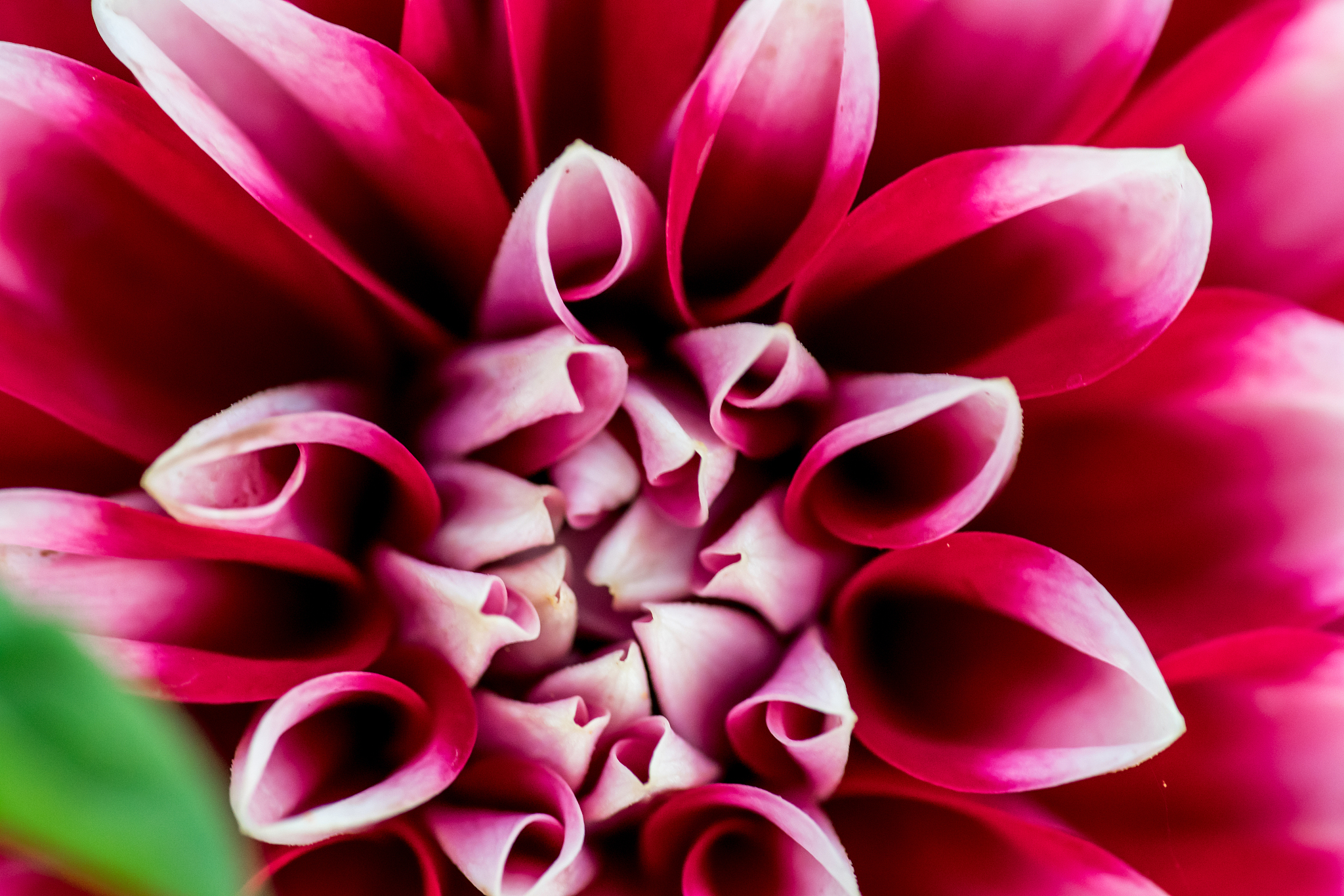 chirp函数在Matlab拖拽后需要进行参数设置吗