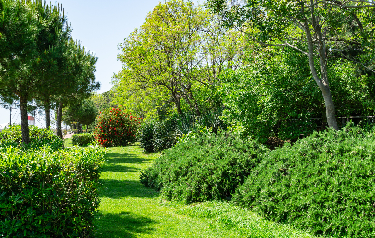园林景观中植物空间的5大作用，让环境更宜人！
