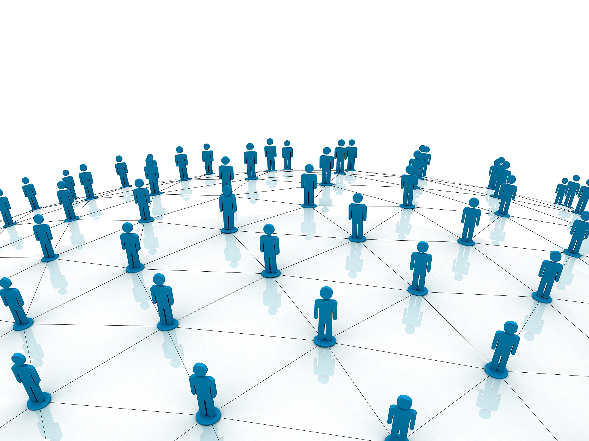 social network