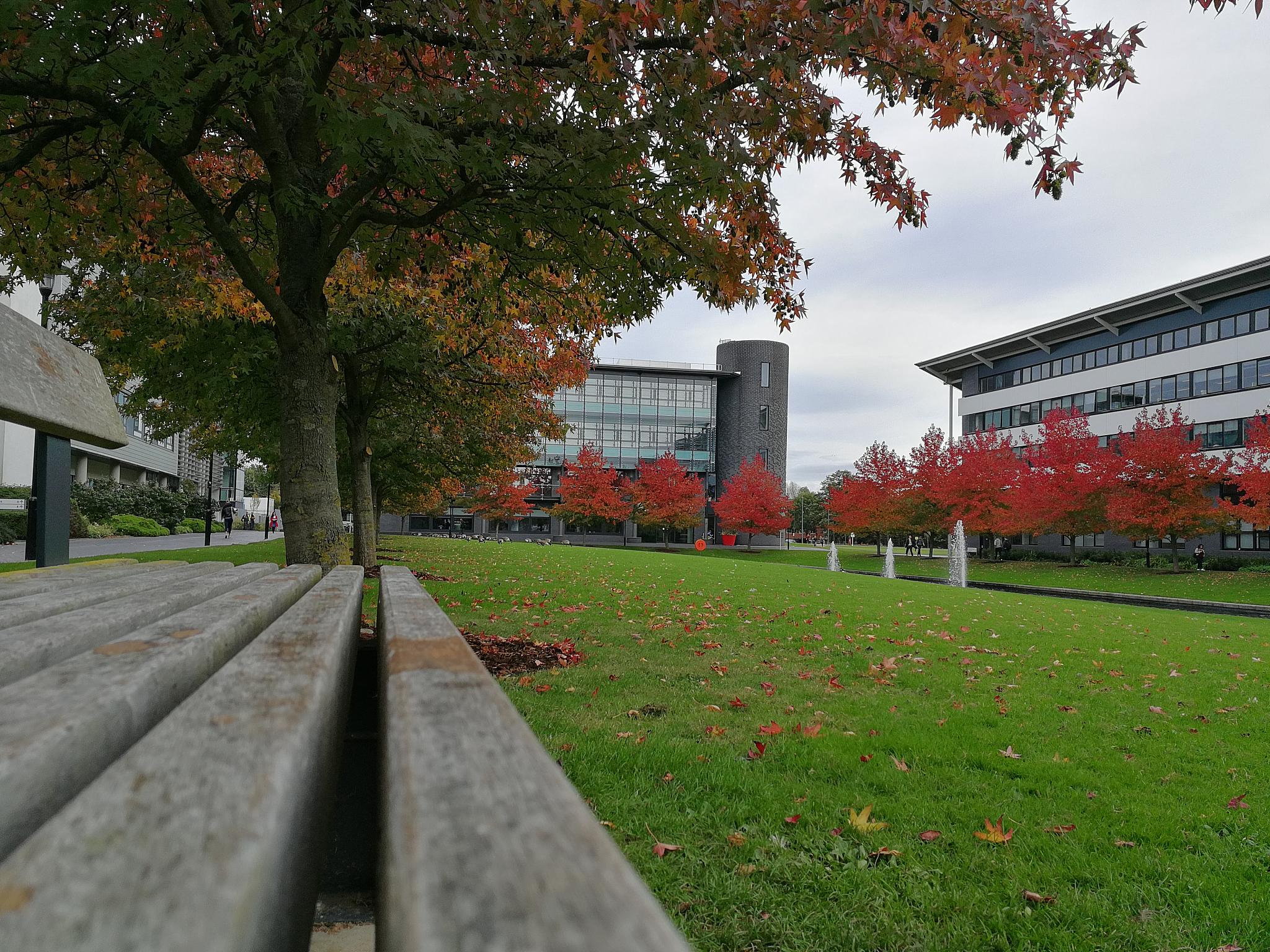 autumnal scene