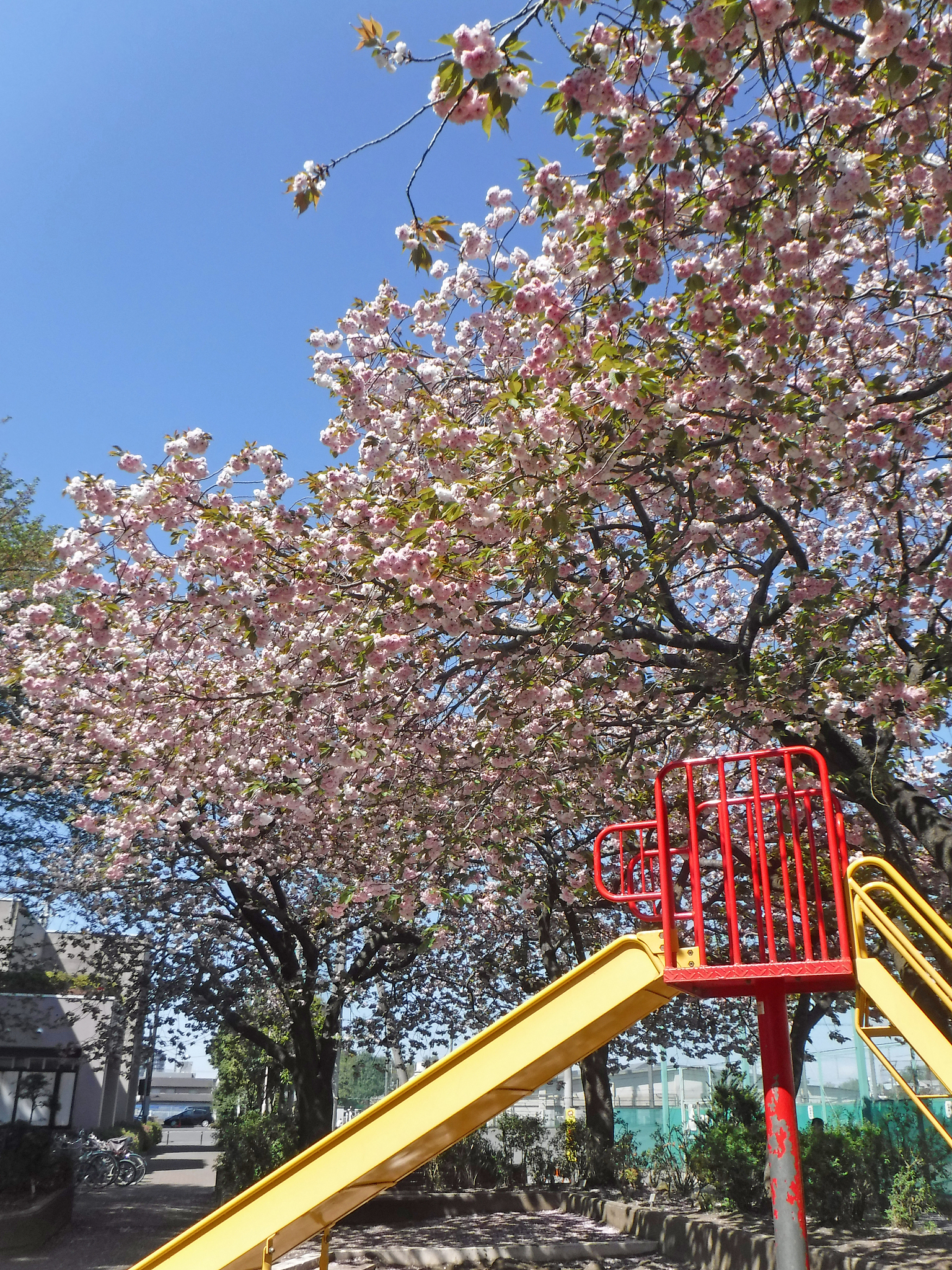 八重神子游戏攻略：角色创建、主线任务、副本挑战等玩法详解