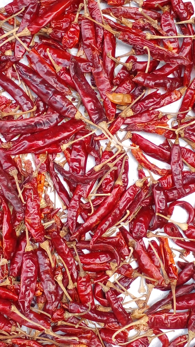 樟树港辣椒什么时候炒起来的