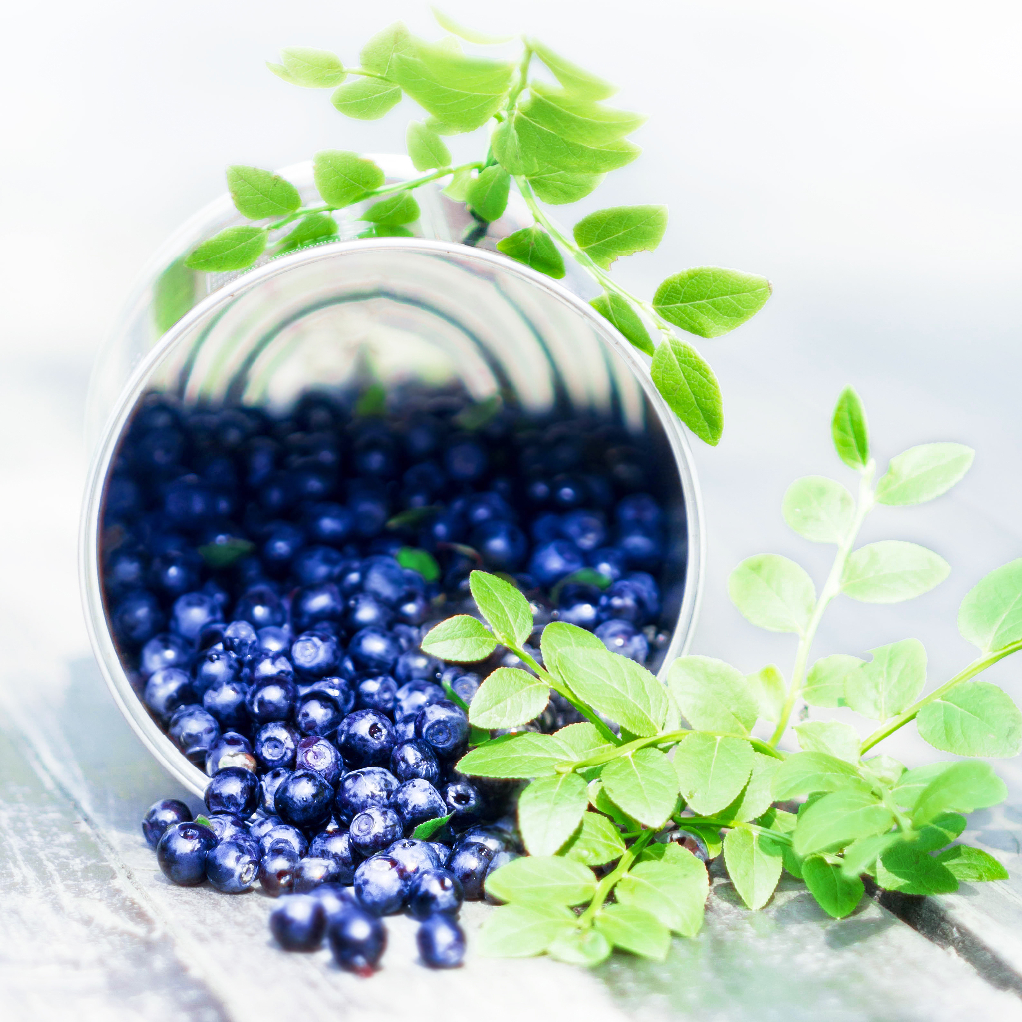 蓝莓叶黄素的卖点是什么？