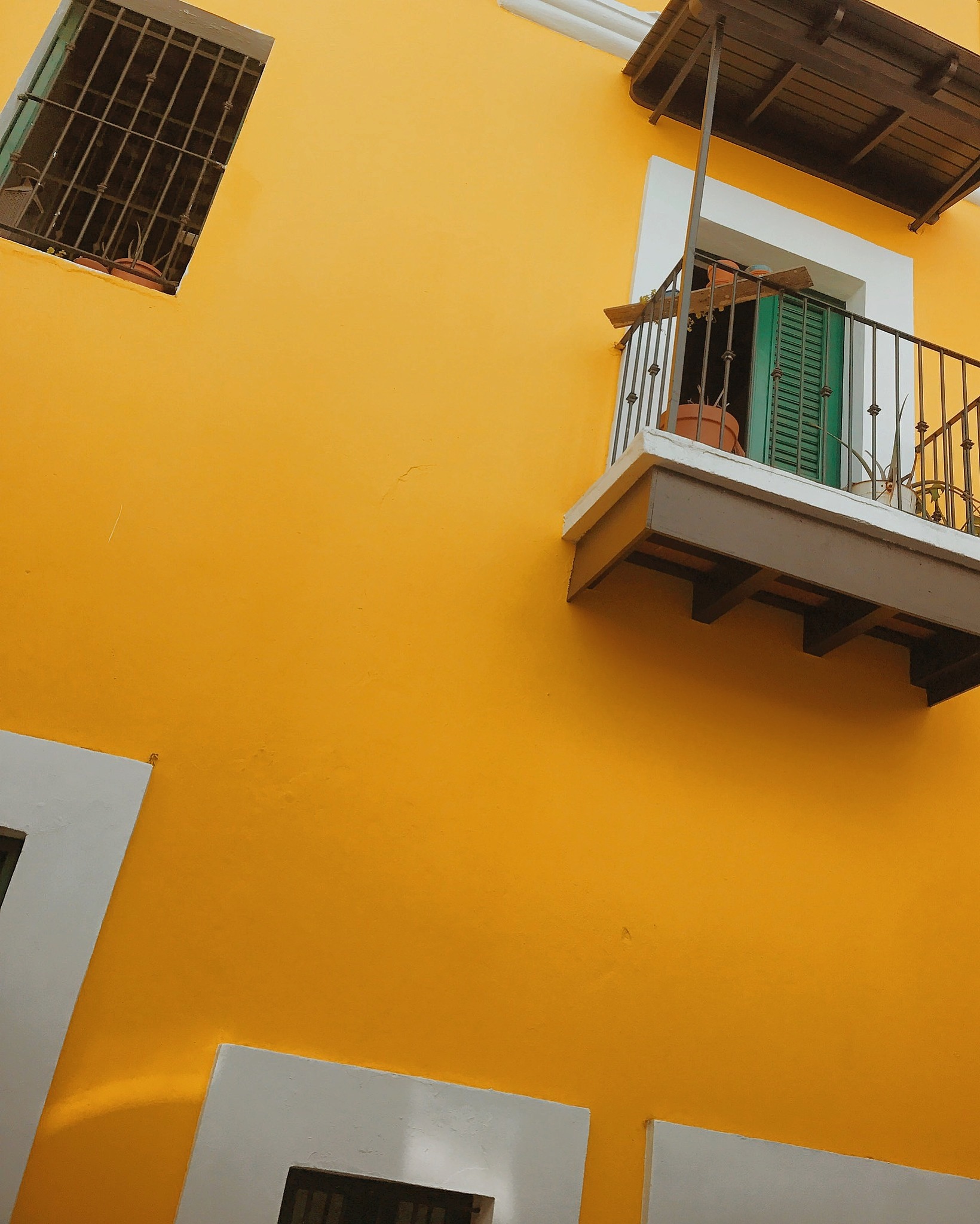 马家柚黄色建筑点缀色：温暖活力自然