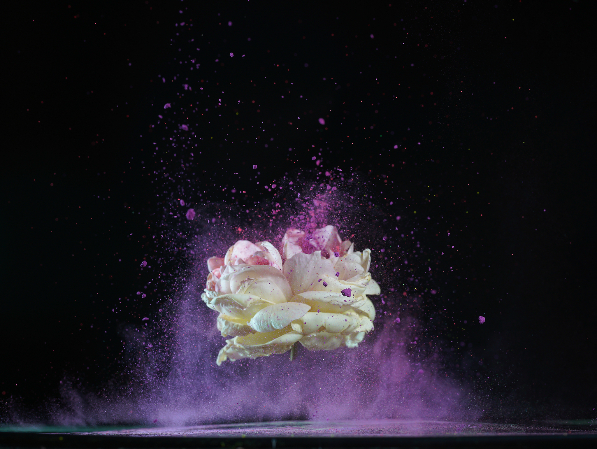 北京一轻技术学校旅游专业怎么样？热门专业解析及未来发展