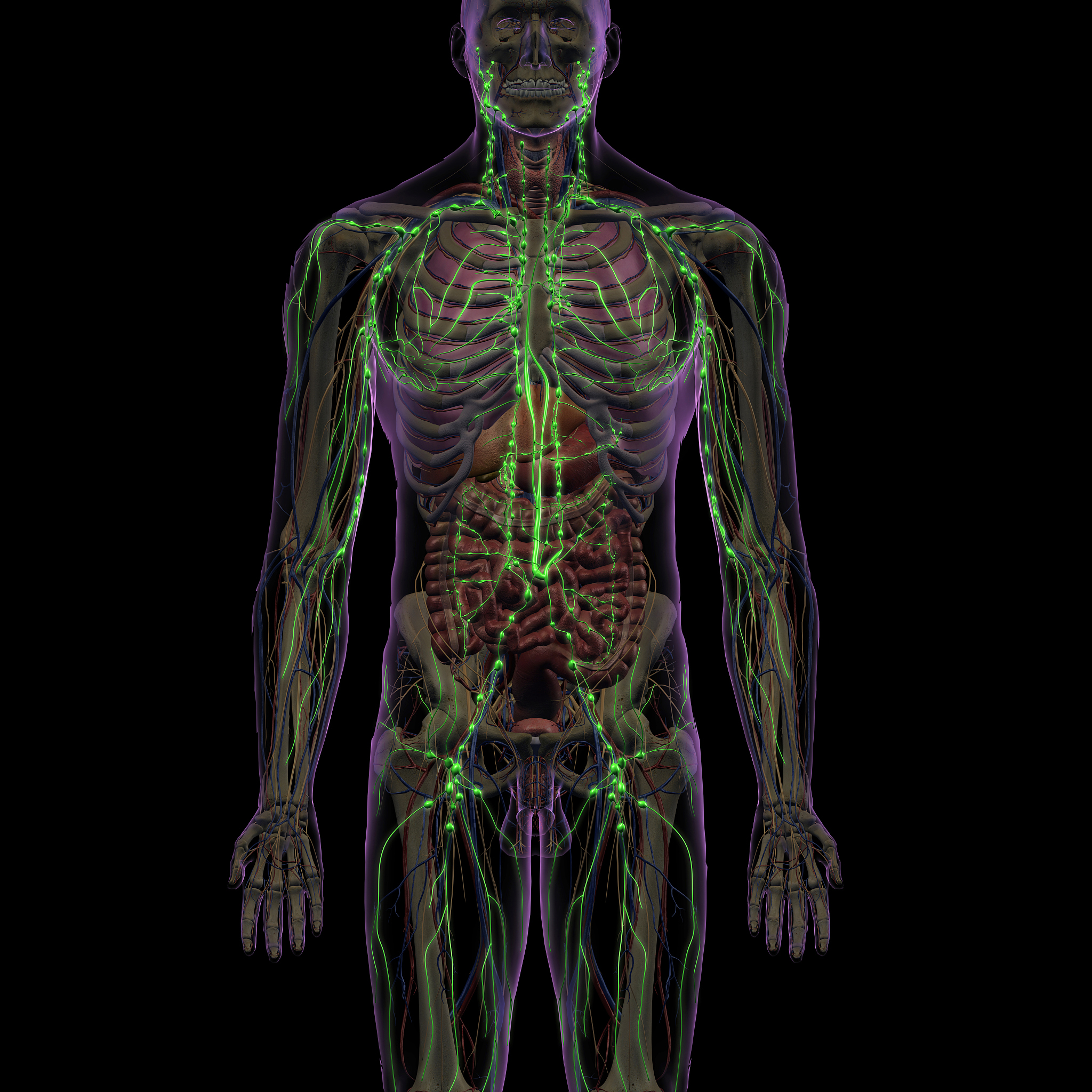 腹动脉有淋巴结不断变大怎么办