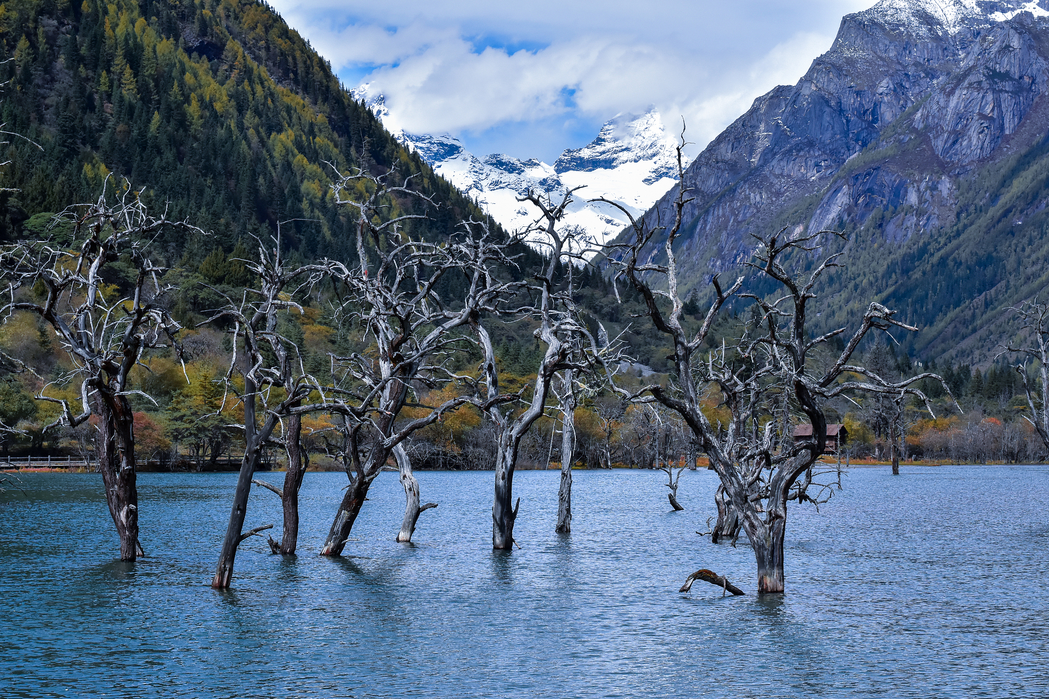 请帮我写1篇650字博客文章主题是：成都到四姑娘山