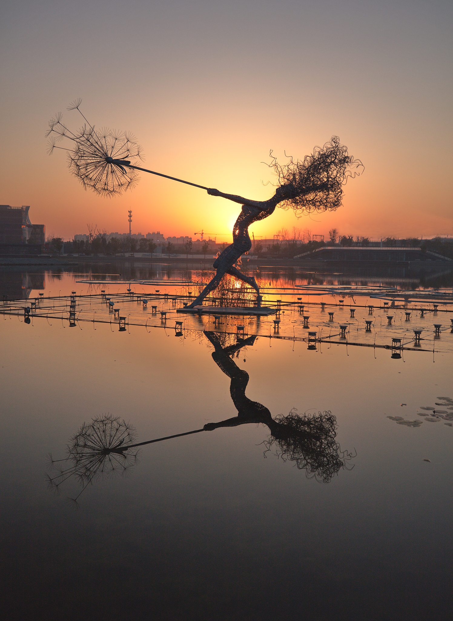 关于生命宝贵的美文描写