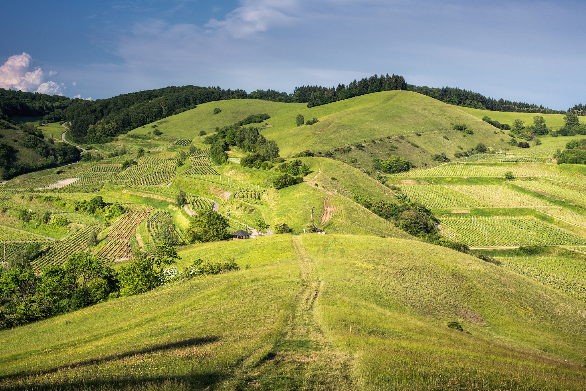 german summer landscape