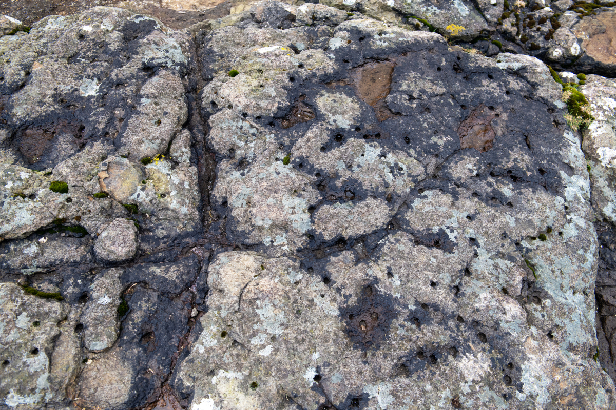 石头分类：火成岩、沉积岩、变质岩、硅酸盐、碳酸盐、用途