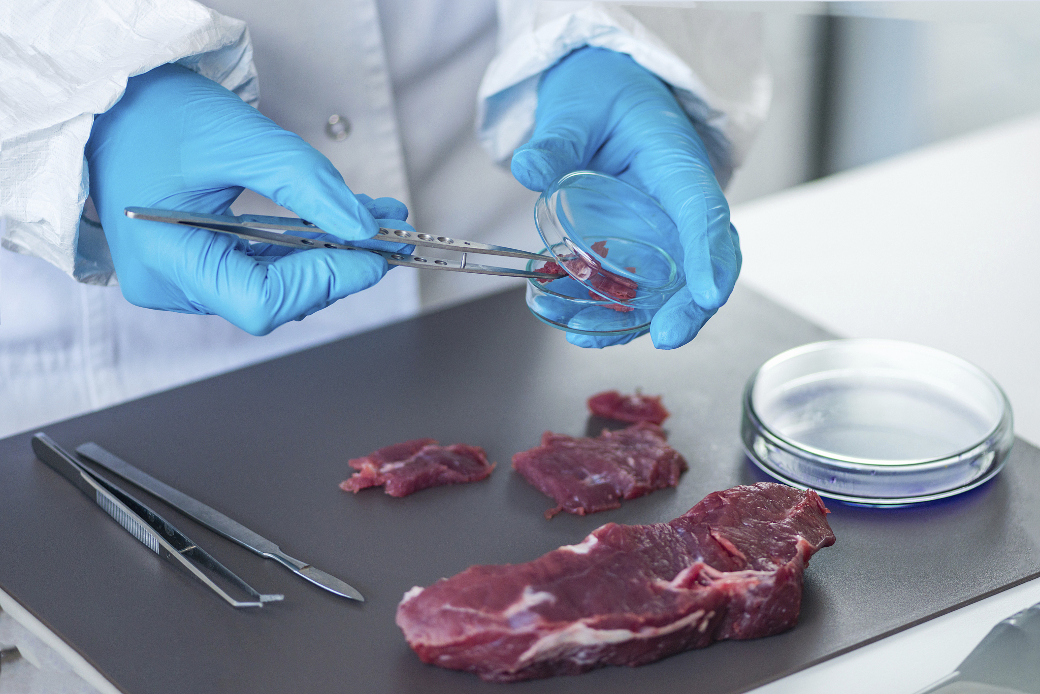 沈阳师范大学食品质量与安全专业怎么样