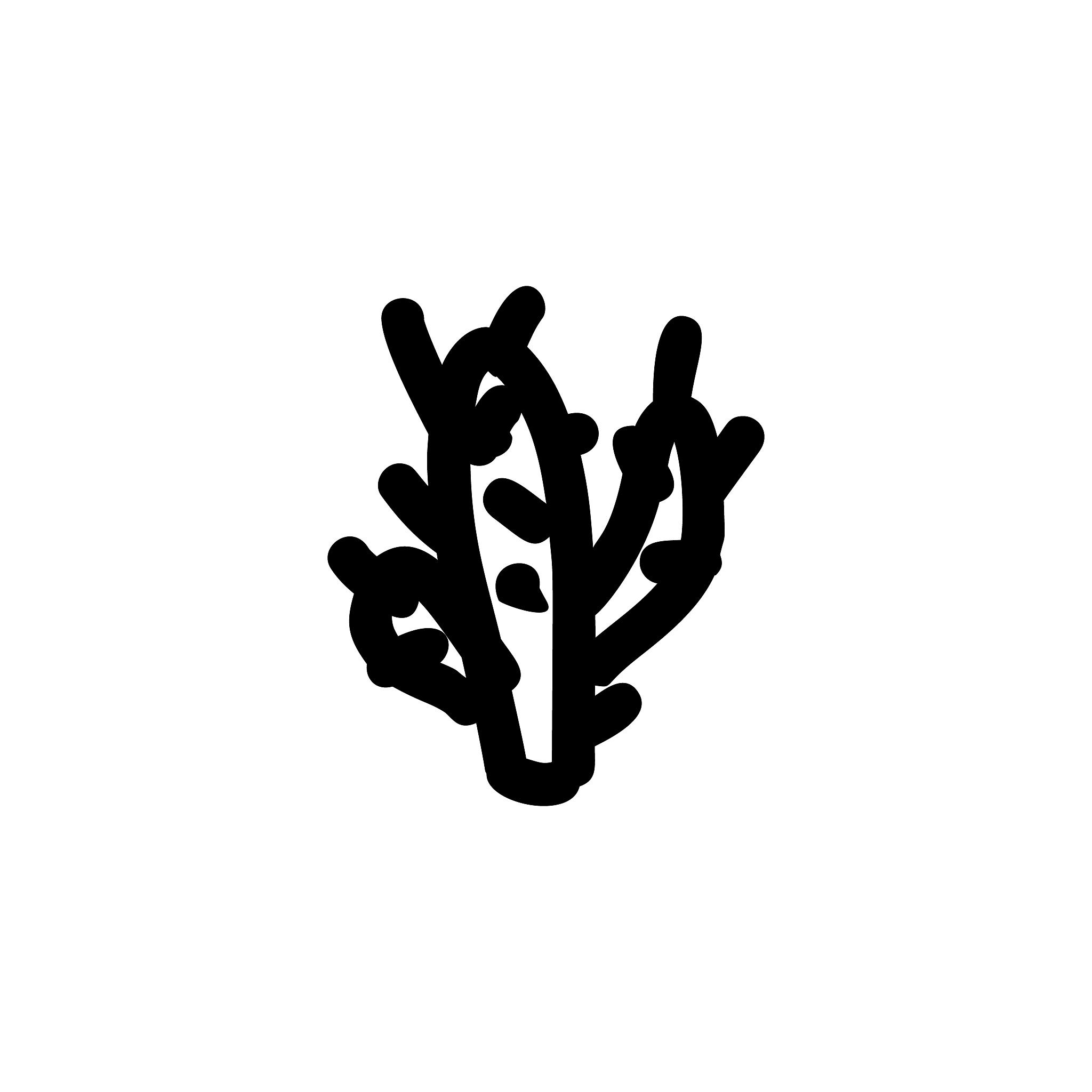 cactus hand drawn icon