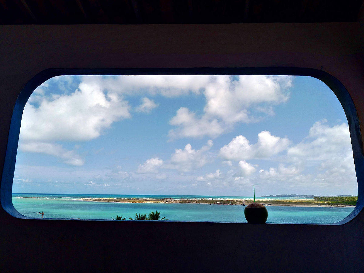 椰子水市场规模：全球市场预计将以超过10%的年均复合增长率增长