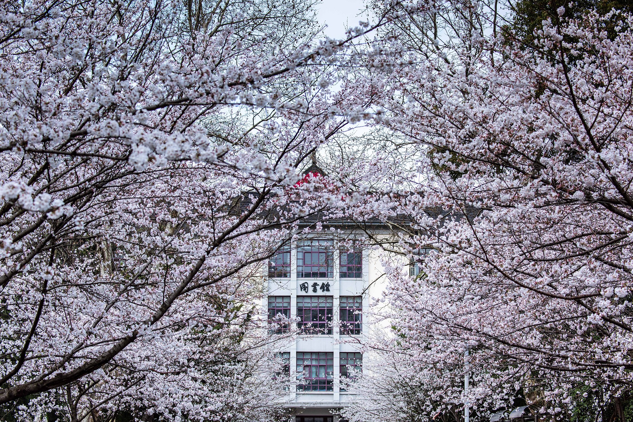 南京林业大学师资怎么样？就业好不好？