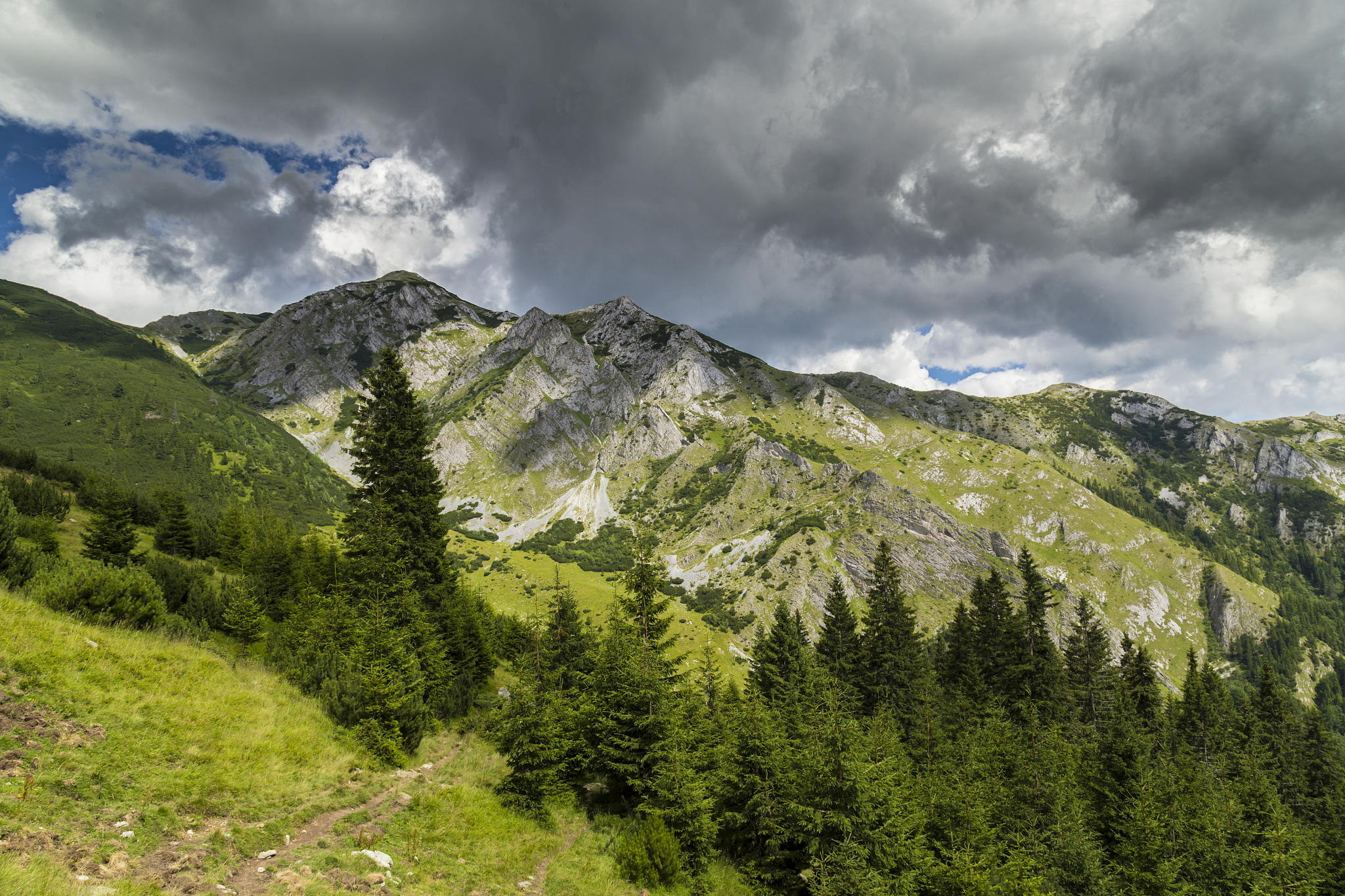 beautiful mountain scenery in summer, with lush green foliage an