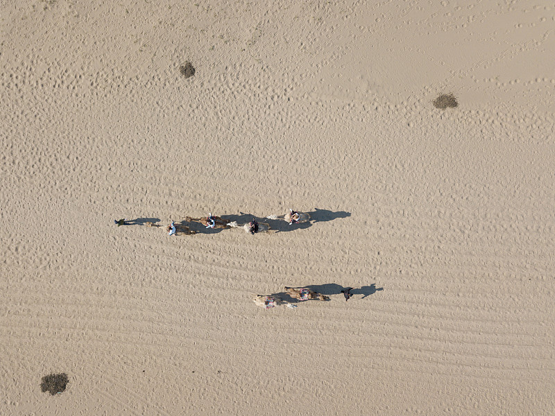 银川中考落榜生去哪上学？优质学校推荐及选择建议