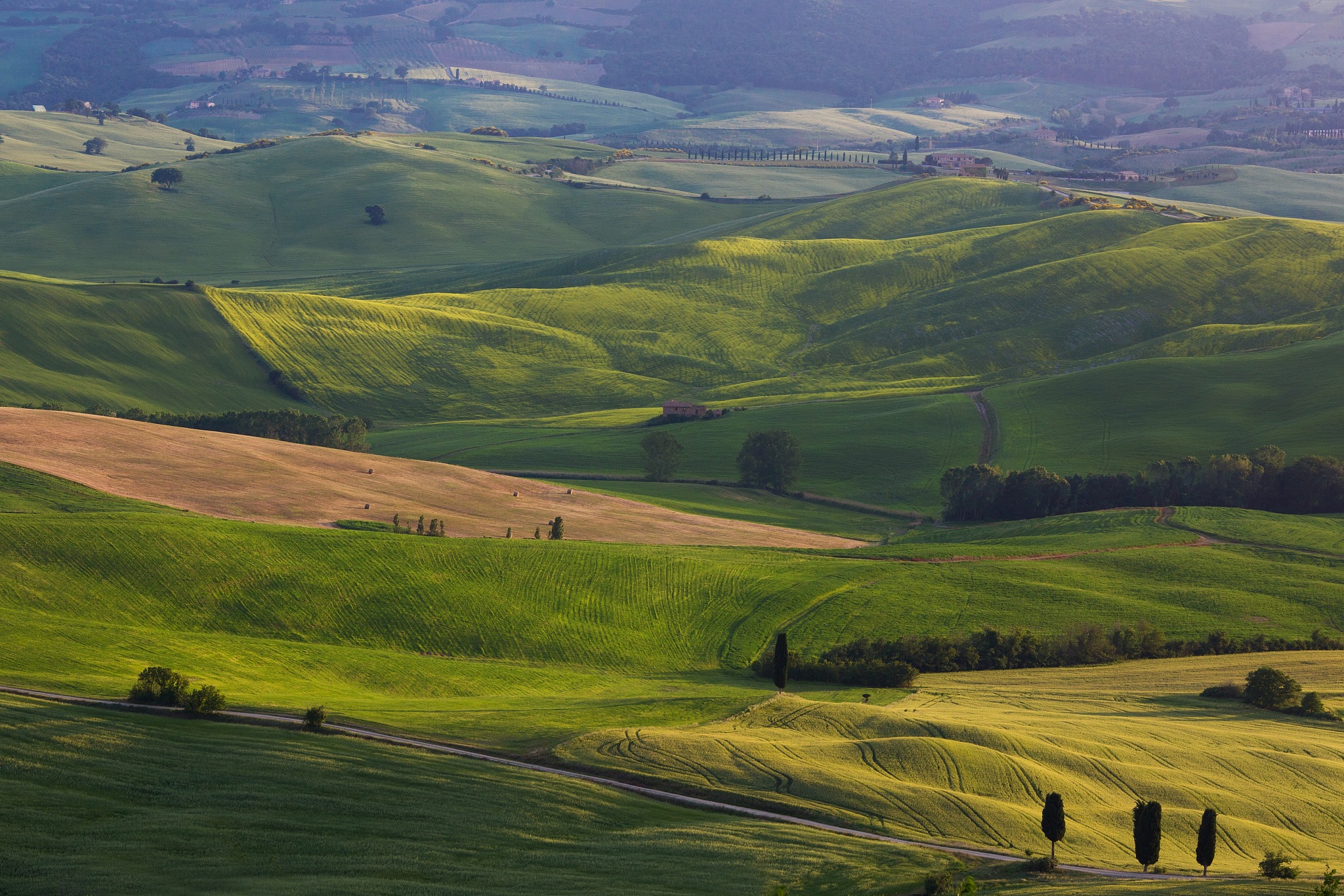 tuscan hills