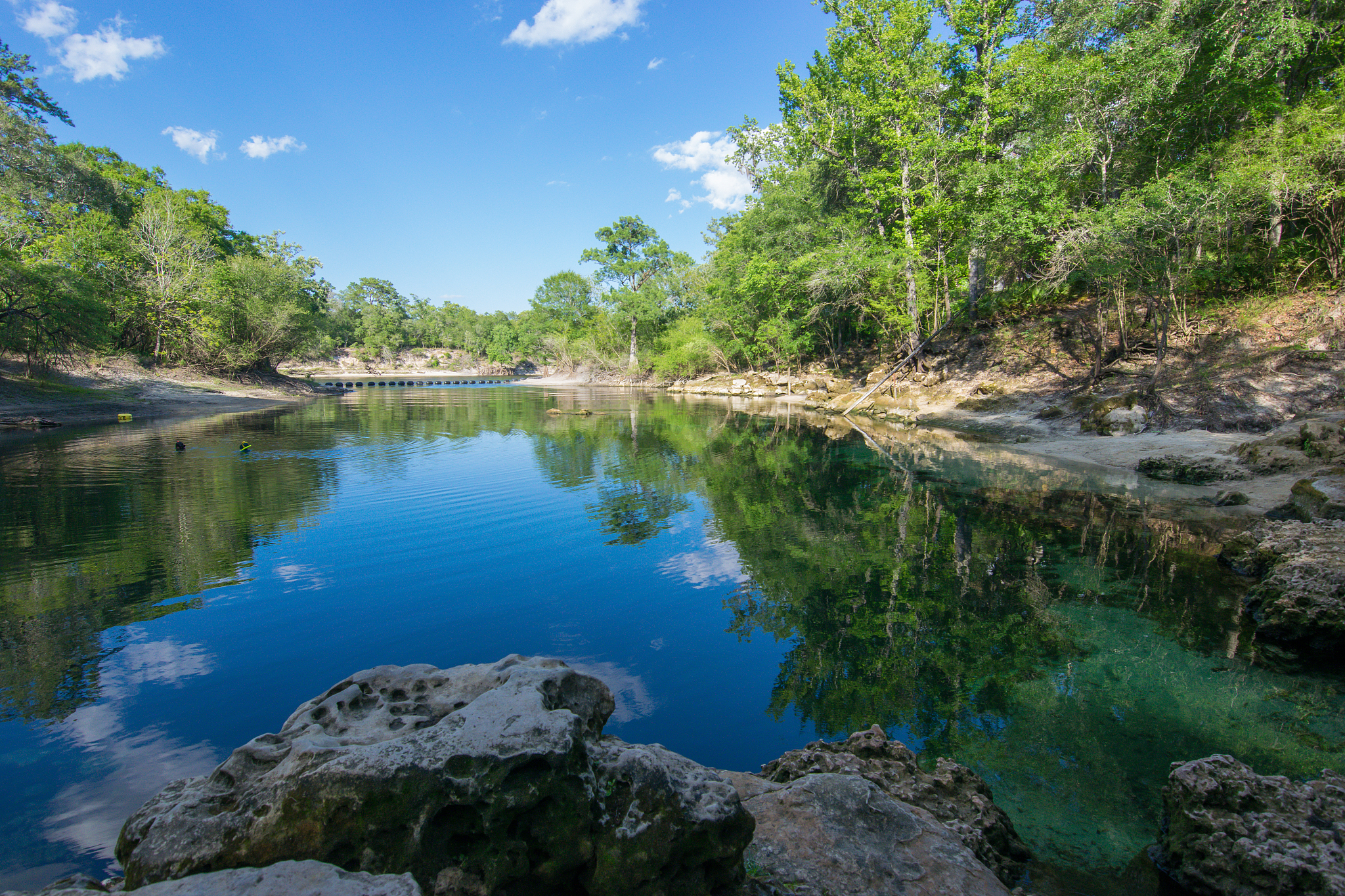 beautiful florida spring on the suwannee river