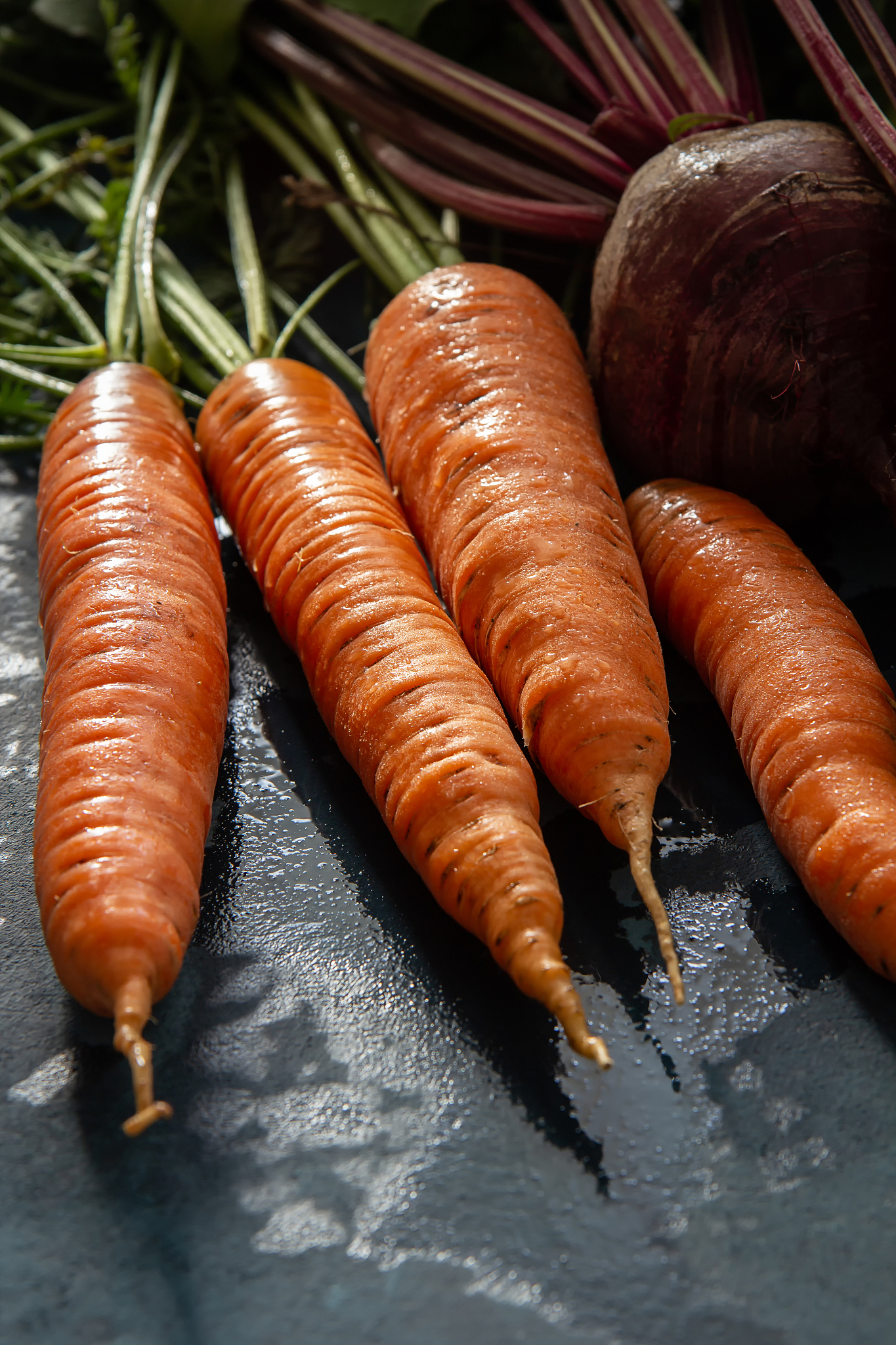 fresh carrots and beets with leaves on a blue background