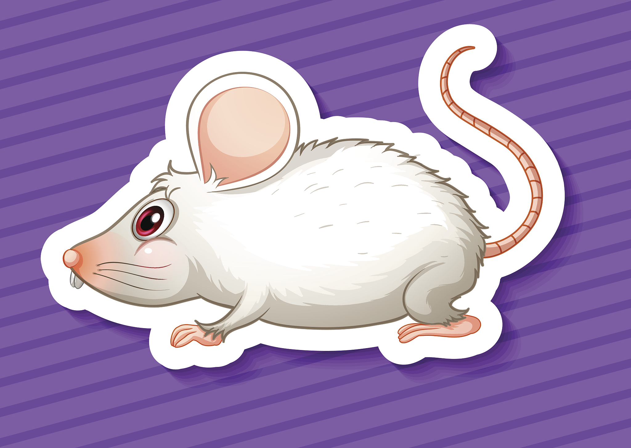 Kegunaan Mouse: Mengontrol Kursor dan Lebih Banyak Lagi