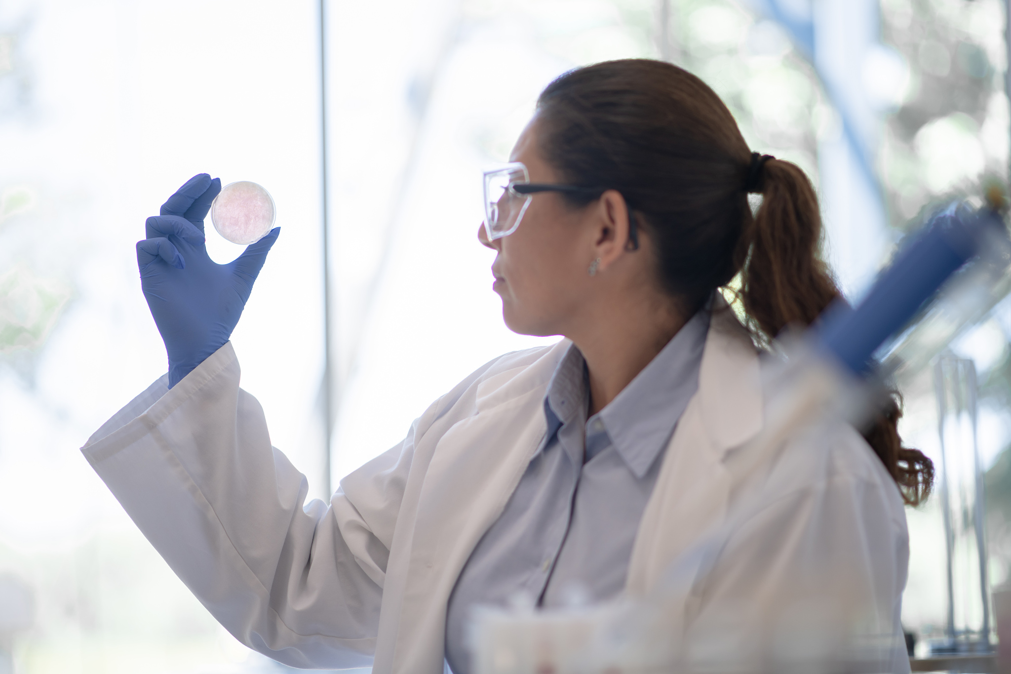 重庆市医药经贸学校专业设置：医药、经济和贸易人才培养基地