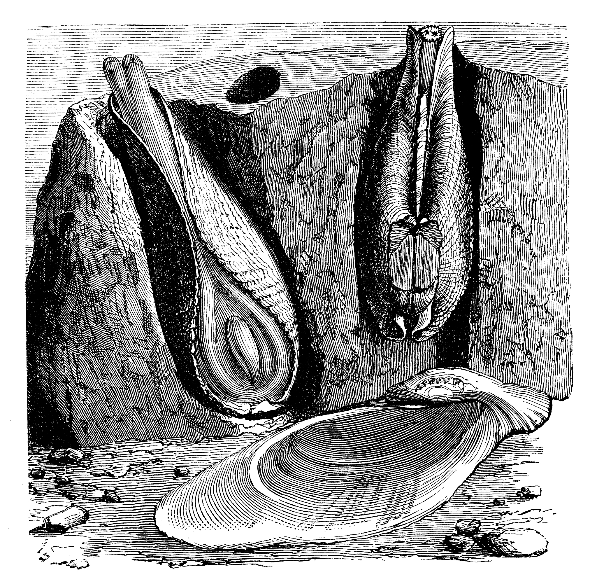 PID控制原理: 深入浅出讲解P、I、D及其作用