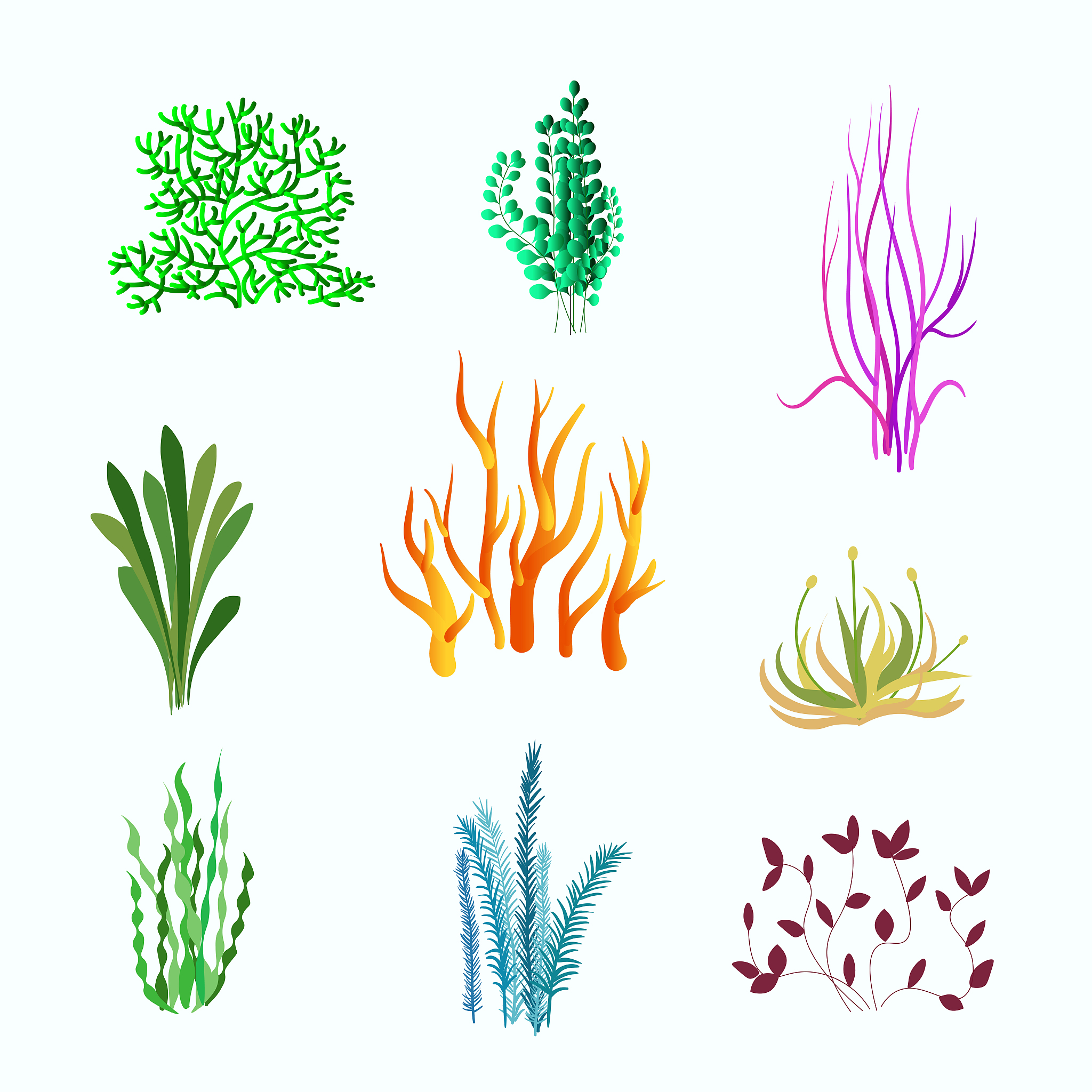 vector set of underwater plants. underwater plant, ocean and sea