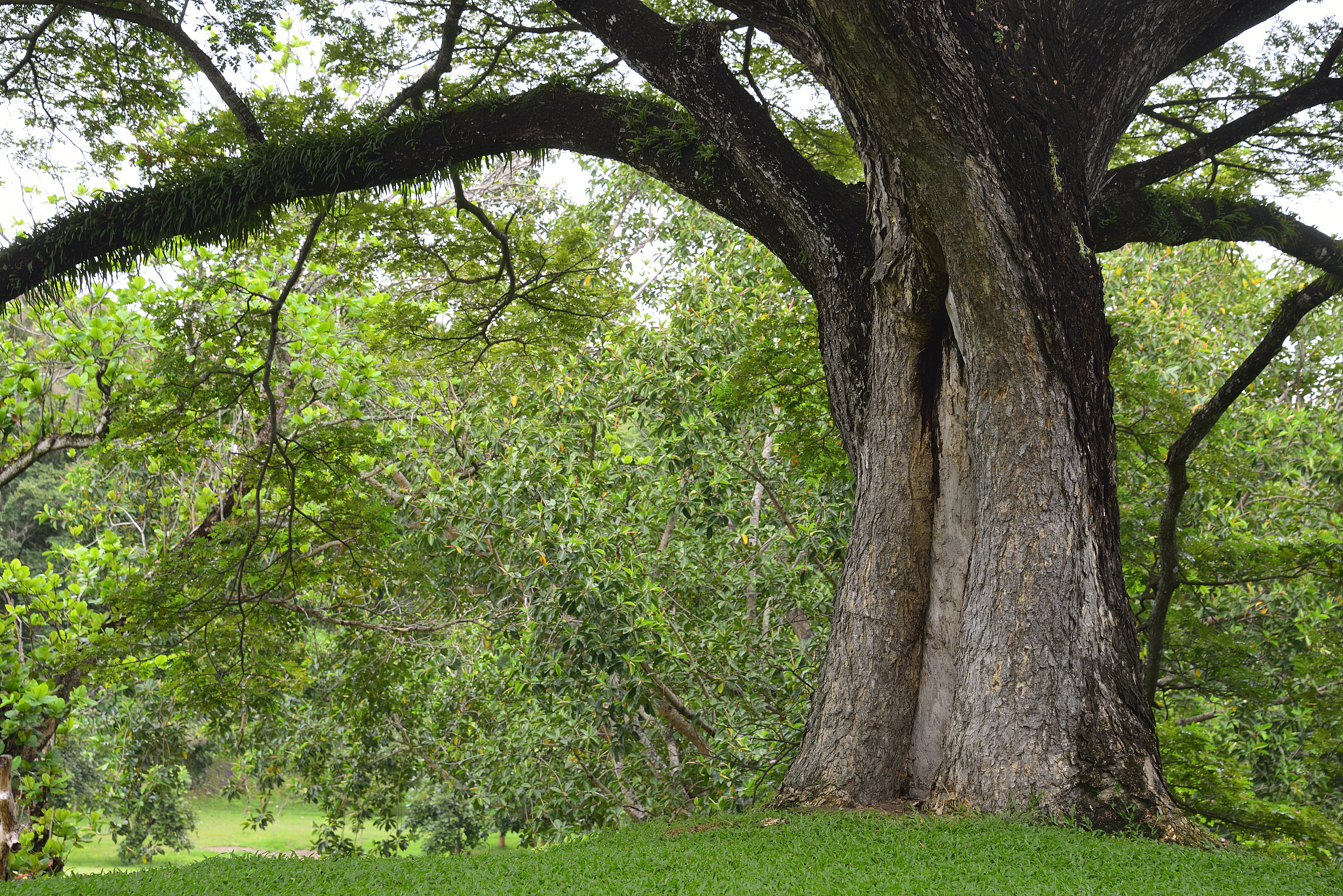 泰国中国职业院校合作项目：交流、培训、学生交换